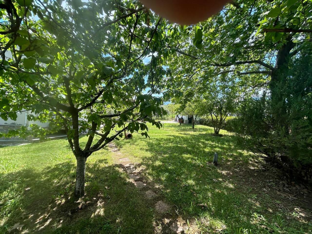 Zeusplace Karia Villa Natura Leptokarya  Exterior foto
